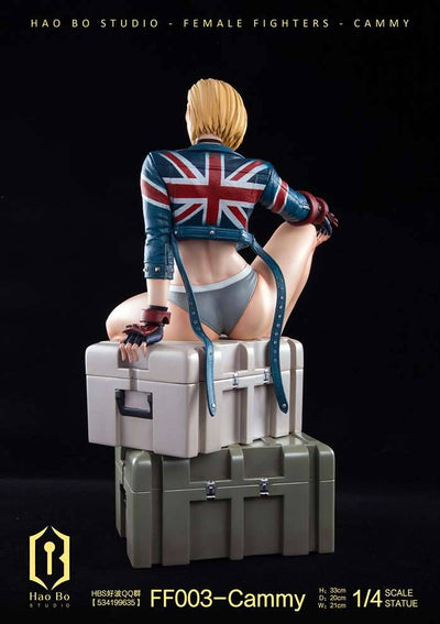 FF003 Cammy (Deluxe) 1/4 Scale Statue