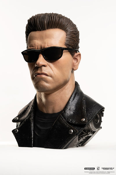 T-800 Model 101 Life-Size Art Mask