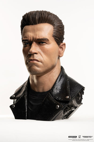 T-800 Model 101 Life-Size Art Mask