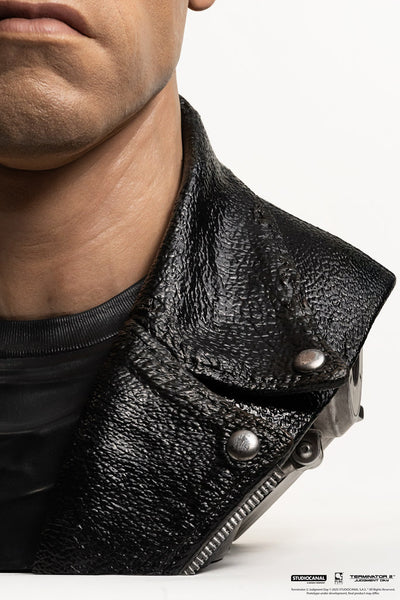 T-800 Model 101 Life-Size Art Mask