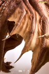 King Ghidorah 2019 Statue