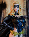 Batgirl 1/4 Scale Statue by Cincronize Labs