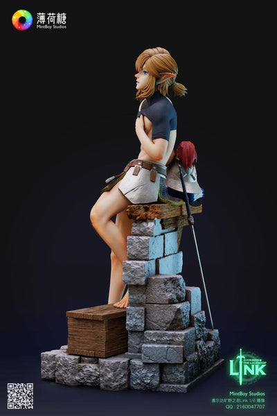 Training Soldier Link 1/6 Scale Statue by MintBoy Studio