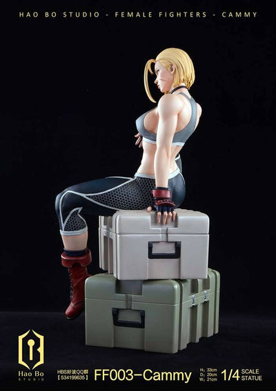 FF003 Cammy (Deluxe) 1/4 Scale Statue