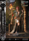 The Witcher 3: Wild Hunt - Triss Merigold (Alternative Outfit - Bonus) 1/4 Scale Statue