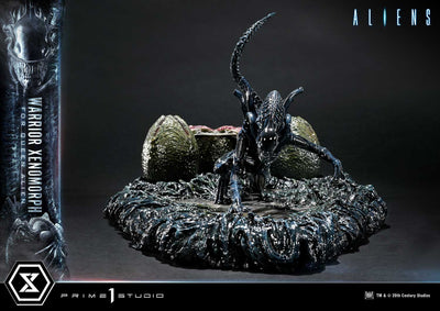 Aliens - Warrior Xenomorph For The Queen Alien