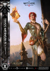 The Witcher 3: Wild Hunt - Triss Merigold (Alternative Outfit - Bonus) 1/4 Scale Statue
