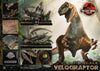Jurassic Park: The Lost World - Velociraptor 1/6 Scale Statue