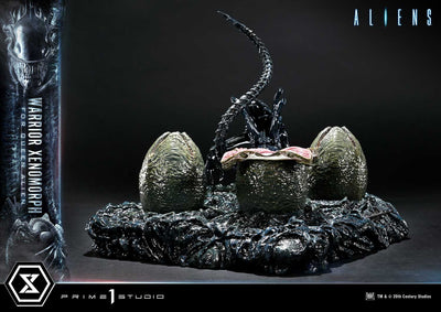 Aliens - Warrior Xenomorph For The Queen Alien