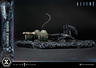 Aliens - Warrior Xenomorph For The Queen Alien