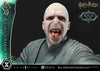 Harry Potter - Lord Voldemort (Bonus) 1/4 Scale Statue