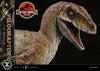 Jurassic Park: The Lost World - Velociraptor 1/6 Scale Statue