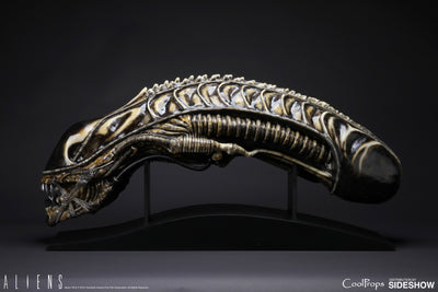 Alien Warrior Life-Size Head