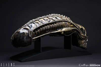 Alien Warrior Life-Size Head