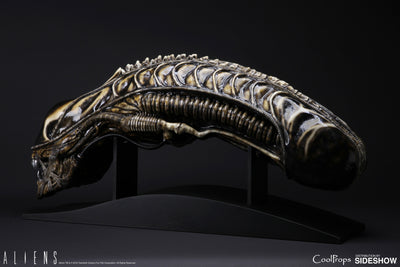 Alien Warrior Life-Size Head
