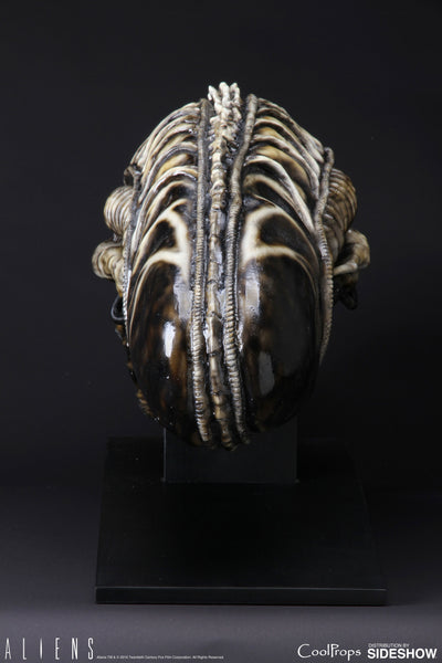 Alien Warrior Life-Size Head