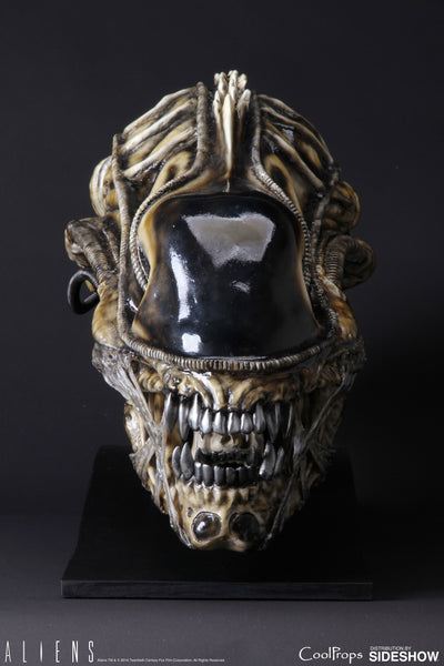 Alien Warrior Life-Size Head