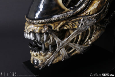 Alien Warrior Life-Size Head