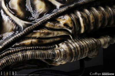 Alien Warrior Life-Size Head