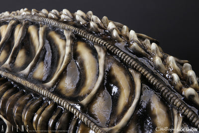 Alien Warrior Life-Size Head