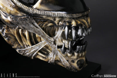 Alien Warrior Life-Size Head
