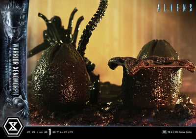 Aliens - Warrior Xenomorph For The Queen Alien