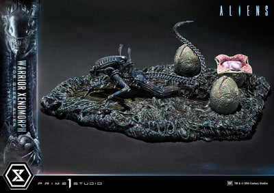 Aliens - Warrior Xenomorph For The Queen Alien