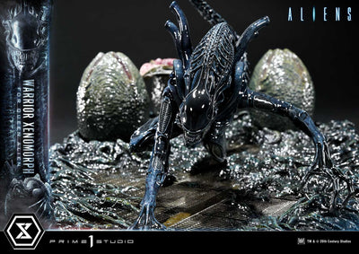 Aliens - Warrior Xenomorph For The Queen Alien