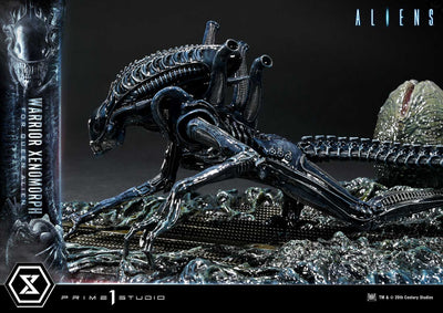 Aliens - Warrior Xenomorph For The Queen Alien