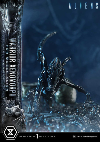 Aliens - Warrior Xenomorph For The Queen Alien