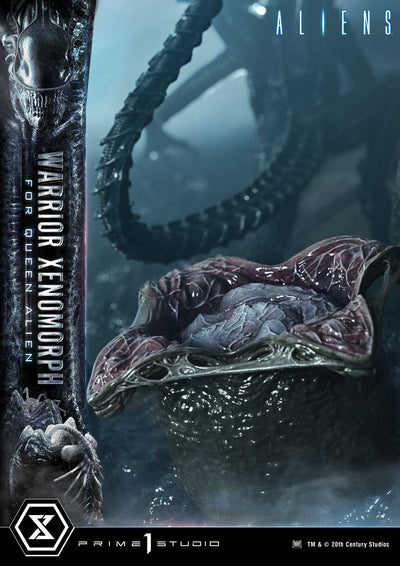 Aliens - Warrior Xenomorph For The Queen Alien