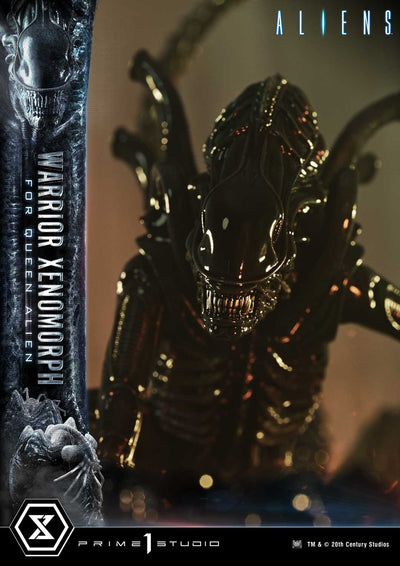 Aliens - Warrior Xenomorph For The Queen Alien