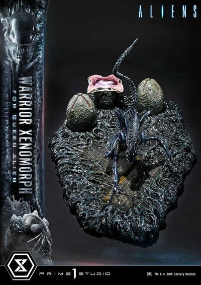 Aliens - Warrior Xenomorph For The Queen Alien