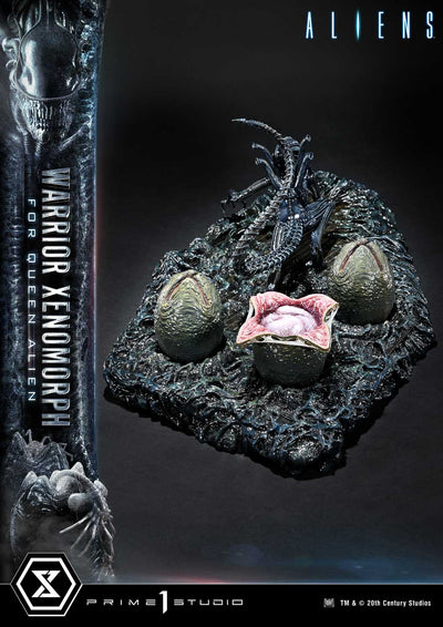 Aliens - Warrior Xenomorph For The Queen Alien