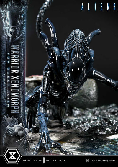 Aliens - Warrior Xenomorph For The Queen Alien