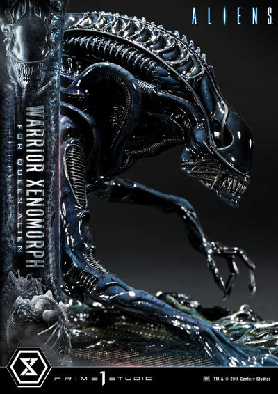 Aliens - Warrior Xenomorph For The Queen Alien