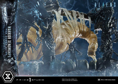 Aliens - Warrior Xenomorph For The Queen Alien