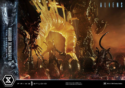 Aliens - Warrior Xenomorph For The Queen Alien