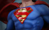 Superman Birth of Hope Statue