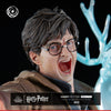 Harry Potter Ikigai 1/6 Scale Statue