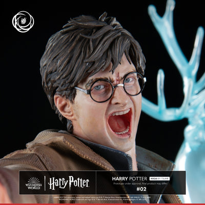 Harry Potter Ikigai 1/6 Scale Statue