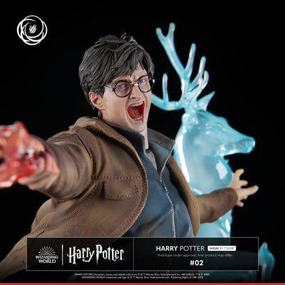 Harry Potter Ikigai 1/6 Scale Statue
