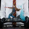 Harry Potter Ikigai 1/6 Scale Statue