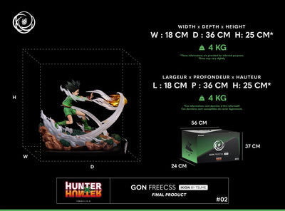 Hunter x Hunter - Gon Freecss Ikigai 1/6 Scale Statue