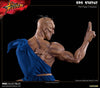 Street Fighter - Oro Player 2 (EX Version) 1/4 Scale Statue