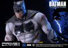 Batman: Arkham City (The Dark Knight Returns) EX Version