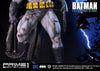 Batman: Arkham City (The Dark Knight Returns) EX Version