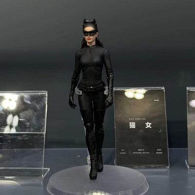The Dark Knight Rises (2012) - Catwoman Morfig 1/12 Scale Figure