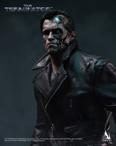 The Terminator - T-800 InArt 1/6 Scale Figure