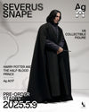 Harry Potter - Severus Snape InArt 1/6 Scale Figure